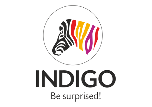 indigo paint logo